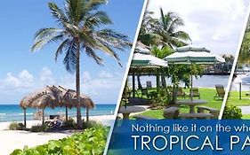 Royal Flamingo Villas